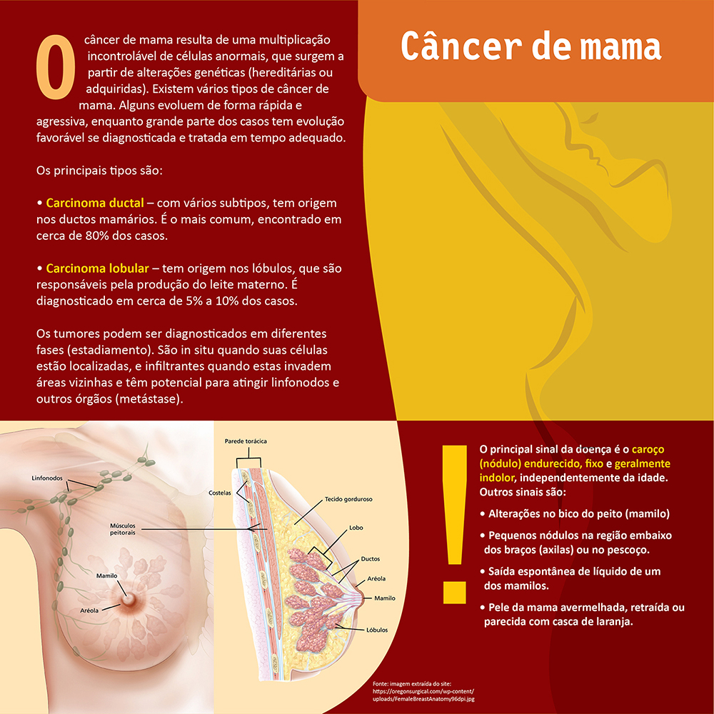 painel-03-mama-cancer de mama-2026.jpg