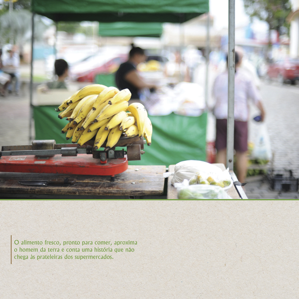 Alimento fresco, pronto para comer - Painel 05