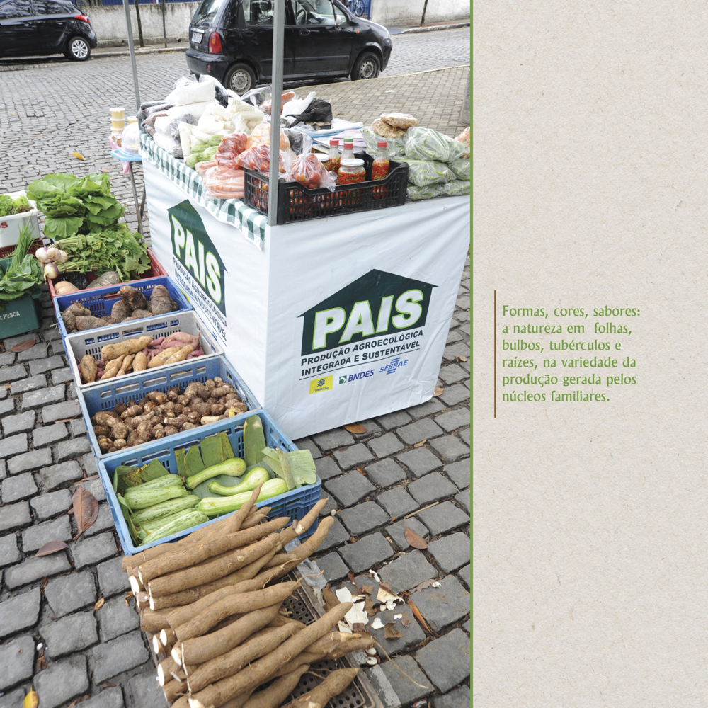 Formas, cores e sabores - Painel 06