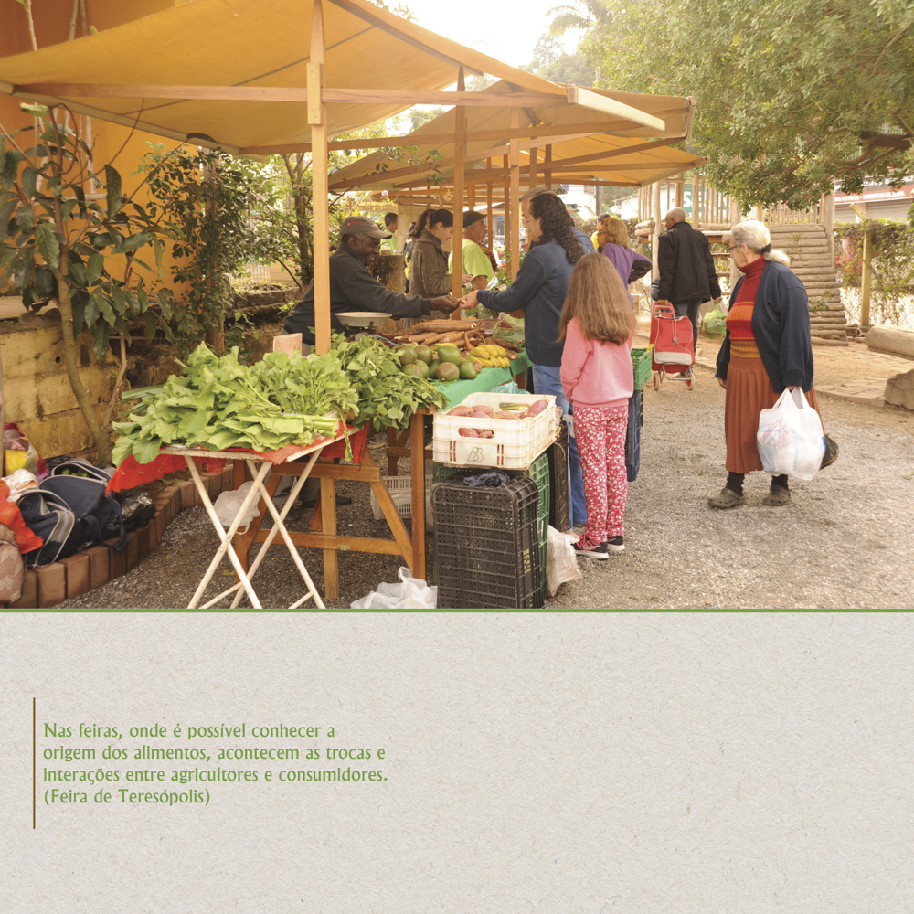 Feira de Teresópolis - Painel 08