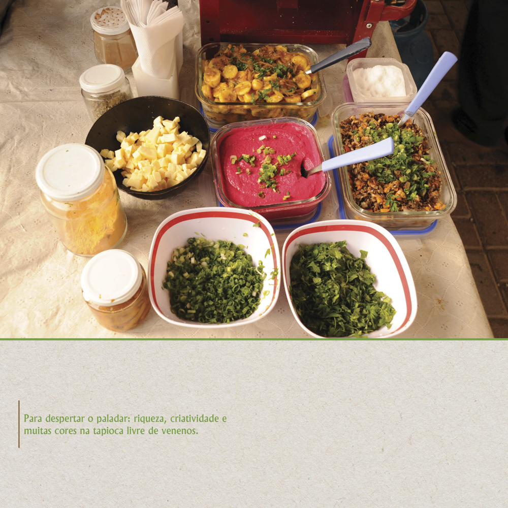 Riqueza, criatividade e cores da comida livre de venenos.