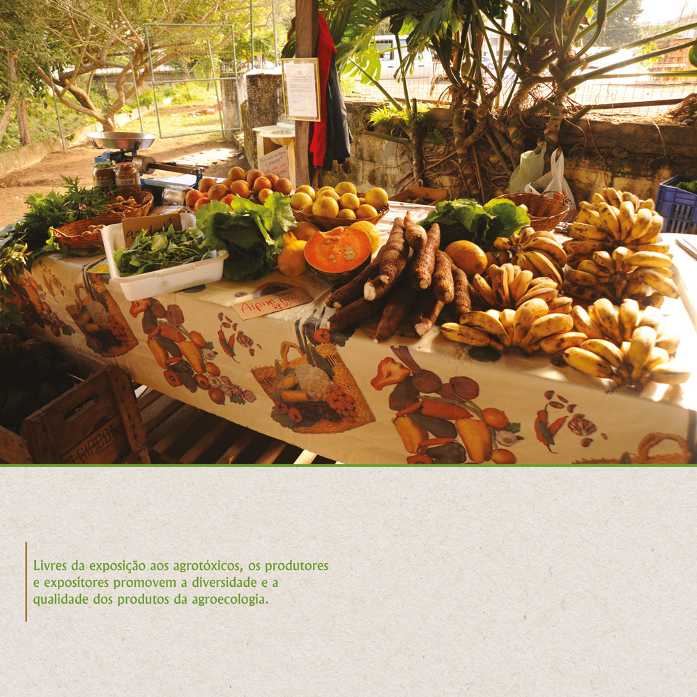 Os produtores e expositores promovem a diversidade e a qualidade os produtos da agroecologia.