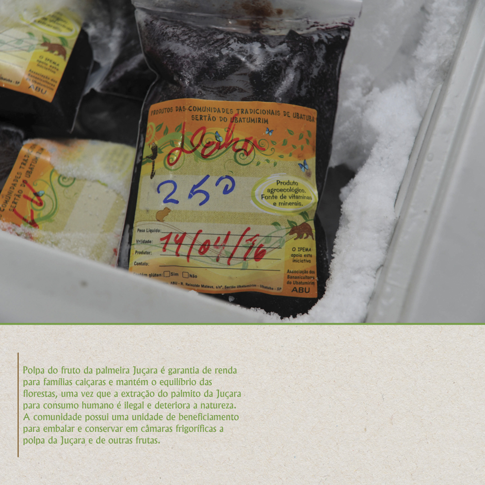 Fruto da Palmeira Juçara gera renda - Painel 22