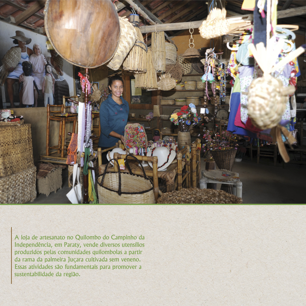 Artesanatos produzidos a partir da rama da palmeira Juçara.