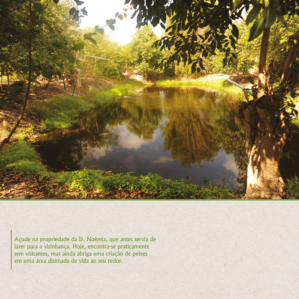 Açude na propriedade da Dona Noêmia, sem visitantes, com a criação de peixes em uma área dizimada de vida ao seu redor.
