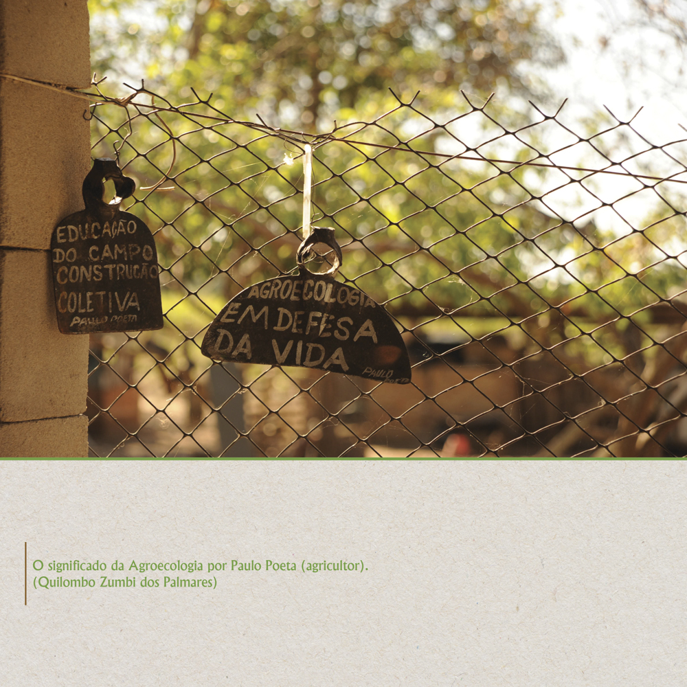Agroecologia em defesa da vida, por Paulo Poeta (agricultor).