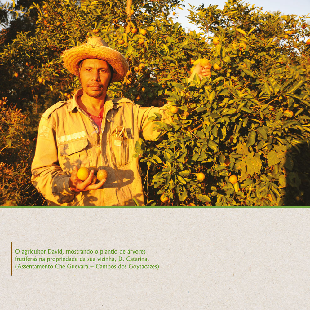 O agricultor David, mostrando o plantio de árvores frutíferas livres de veneno.