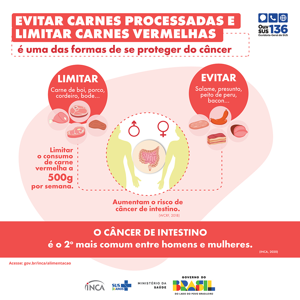 Painel_03 Carnes Processadas-2025.jpg