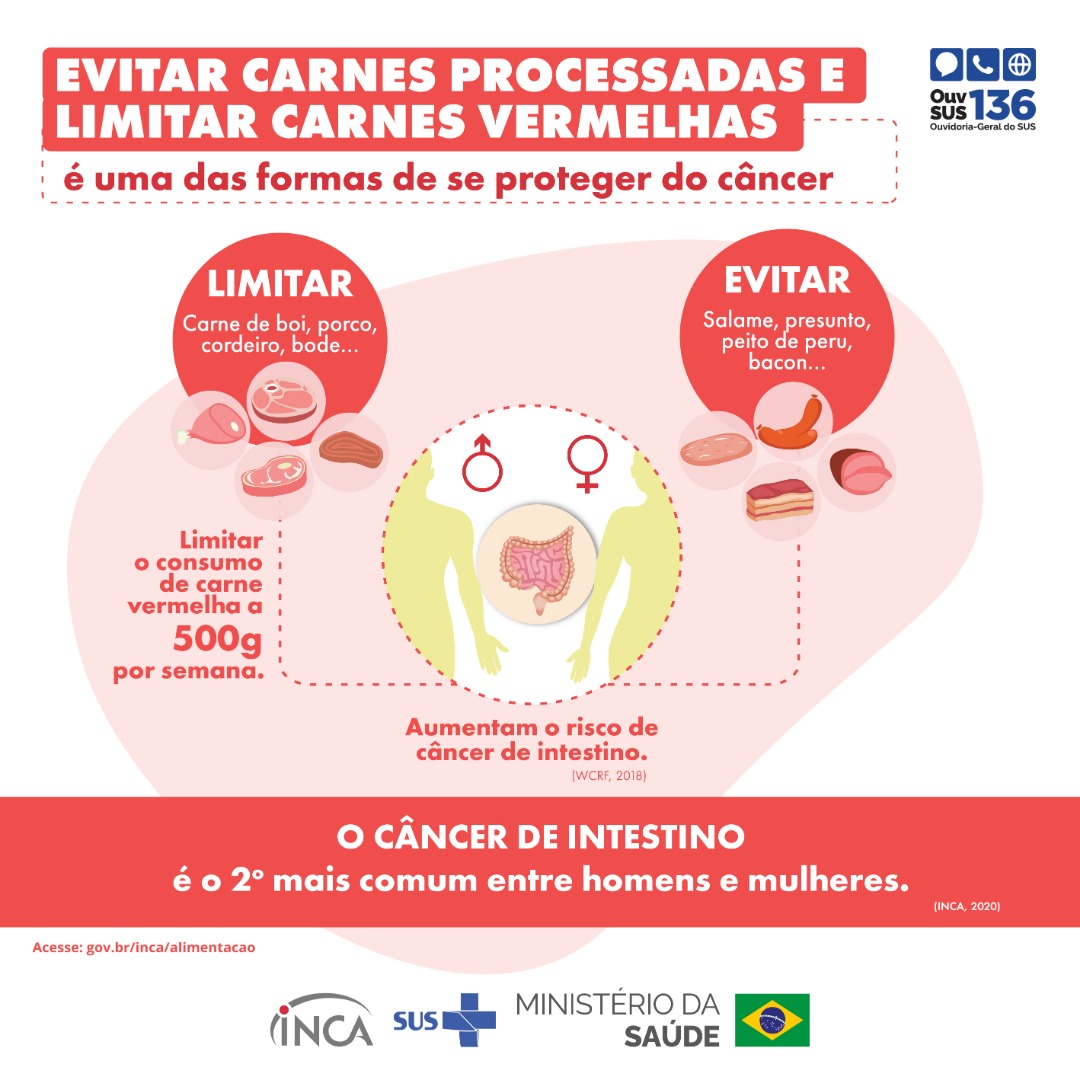Painel_03 Carnes Processadas-2026-PE.jpg
