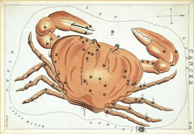 Câncer, ilustração do 'Espelho de Urania' pelo artista Sidney Hall.
Urania's Mirror - Cancer - Sidney Hall