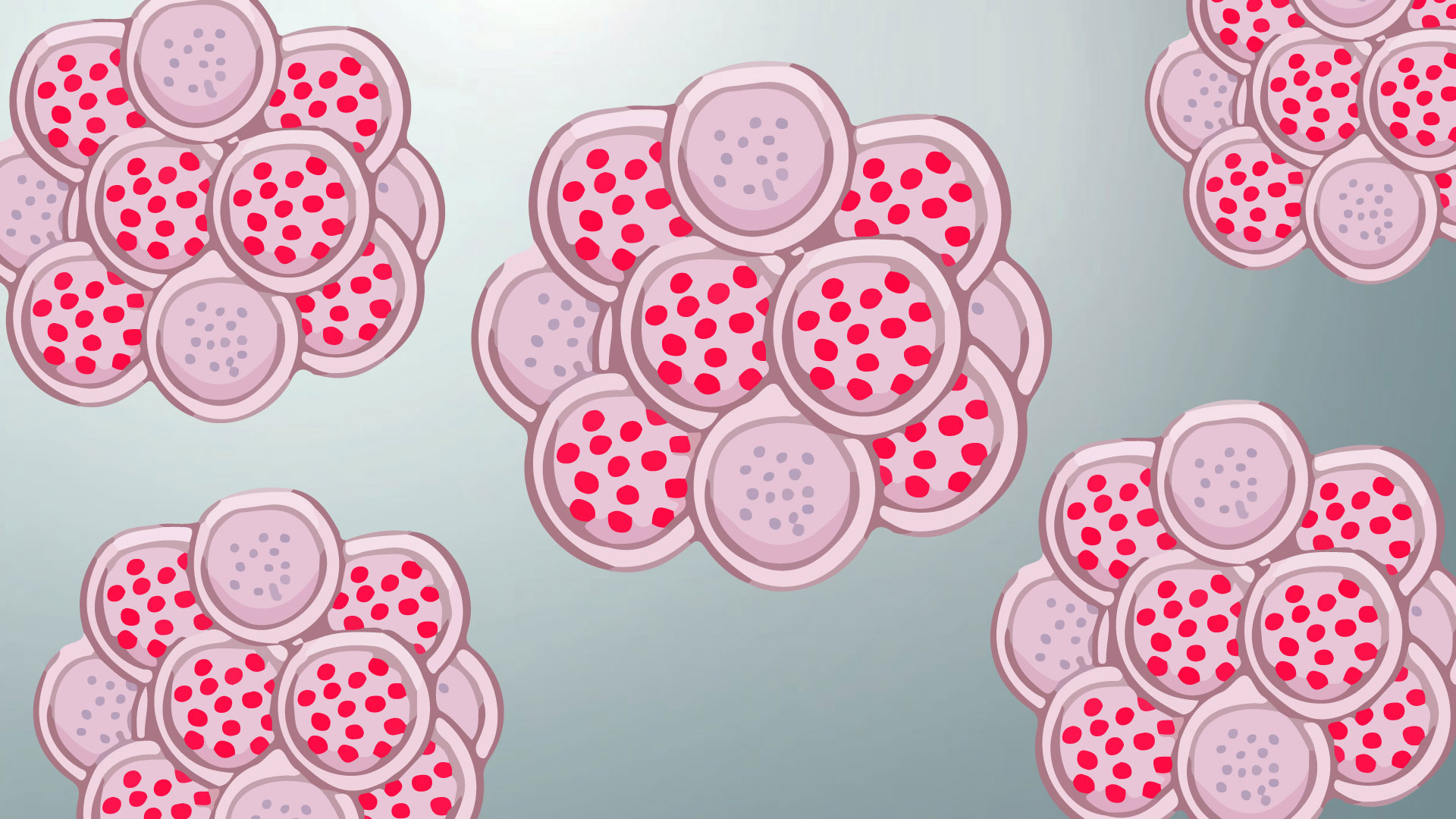 ilustração de uma célula