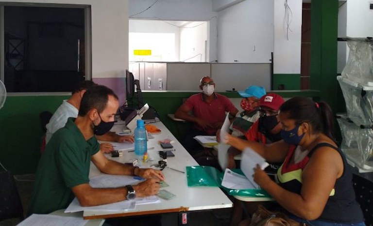 BA seleção famílias