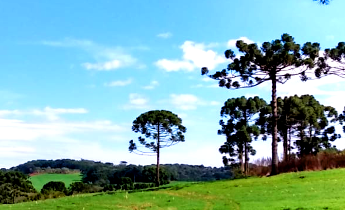 SC_INVERNADA_abril2025.png