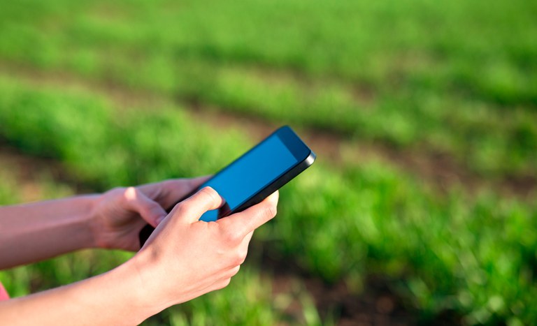 Usuário no campo com celular