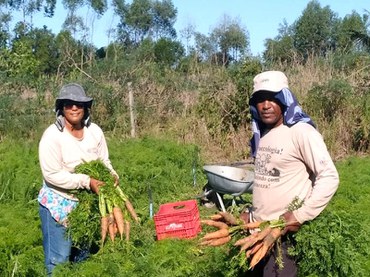 MG: produção assentamento Nova Esperança (ES)