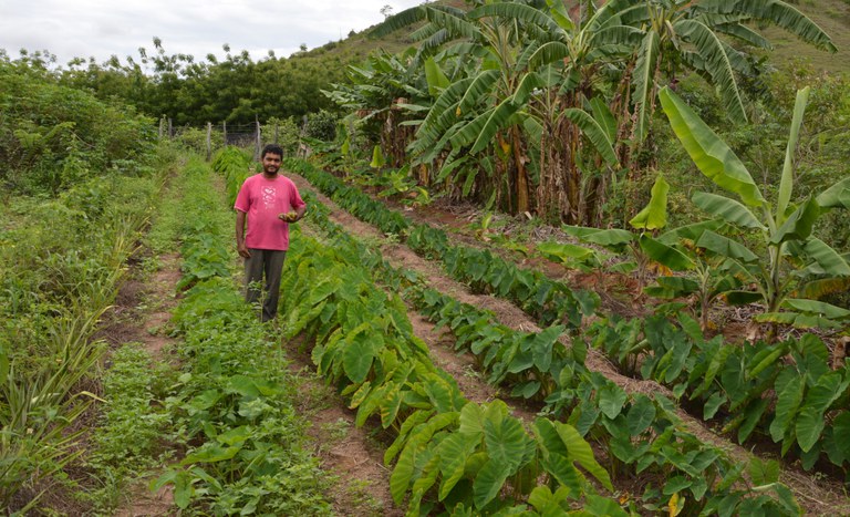 ES_credito e diversificacao