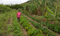 Agricultores de assentamento capixaba organizam lotes a partir da liberação de créditos