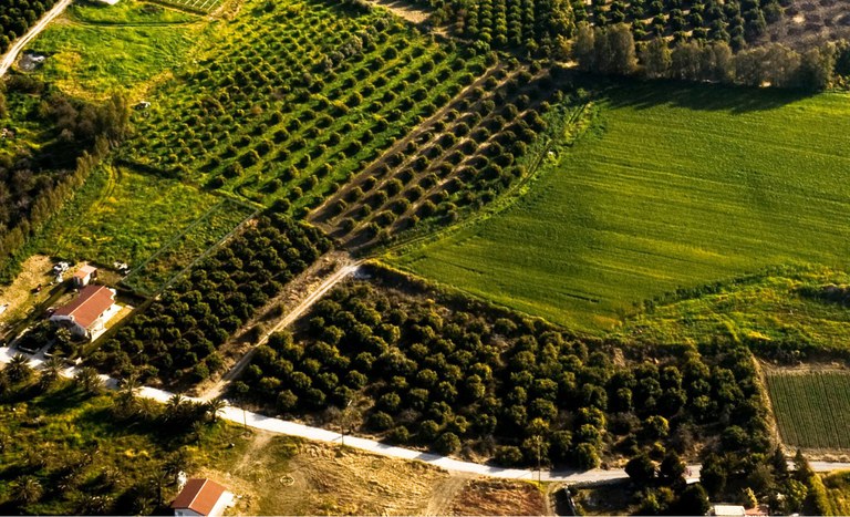 terras lotes reforma agrária Freepik