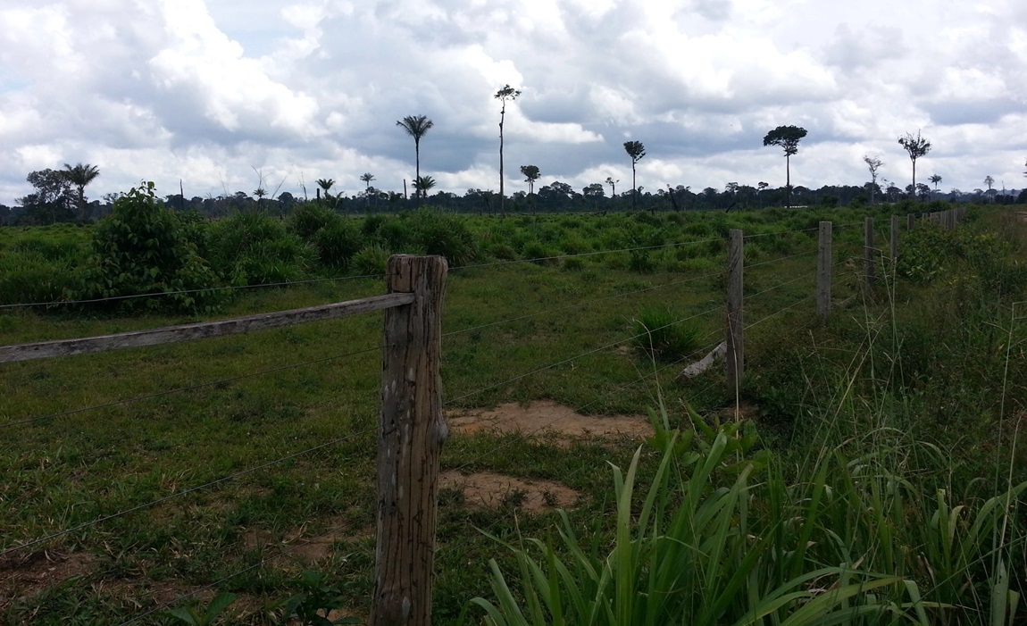 Áreas emblemáticas no Pará e em Mato Grosso são destinadas à reforma agrária