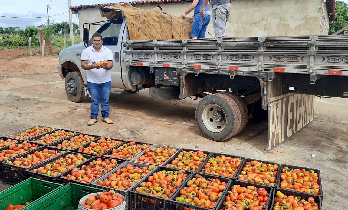 Agricultores assentados comemoram a boa produção de caju e mel no Piauí