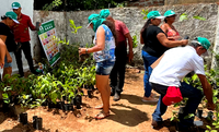 Assentados do Curimataú paraibano participam de dia de campo sobre a acerola