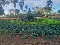 Assentados estruturam vendas de produtos por aplicativo em Goiás