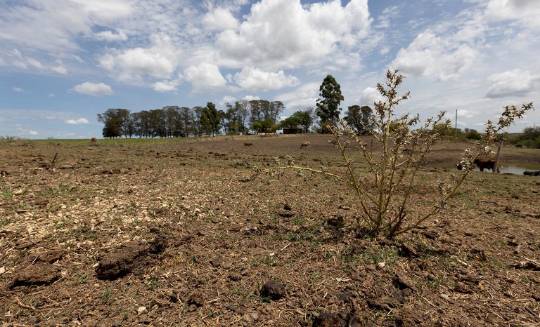 Famílias assentadas no Rio Grande do Sul irão receber crédito para enfrentamento aos efeitos da seca