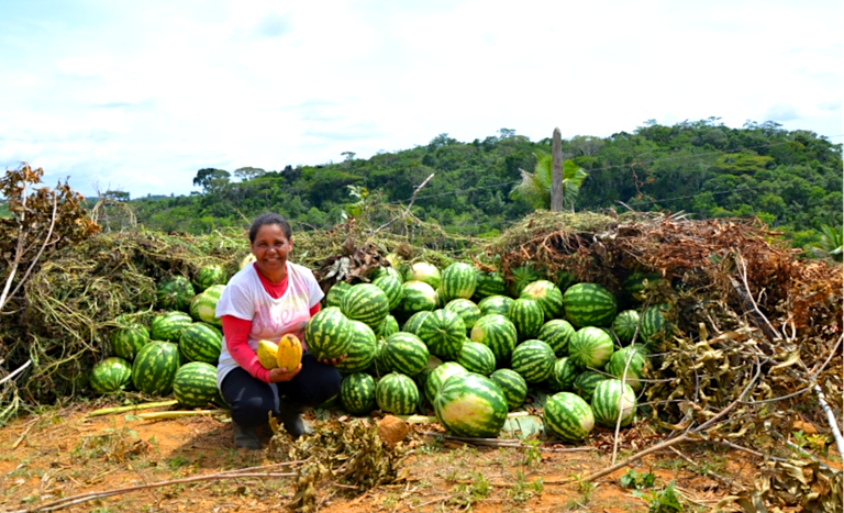 Ba_Ilustrativa_produção_PA Pancada Grande 2_maio2025.PNG