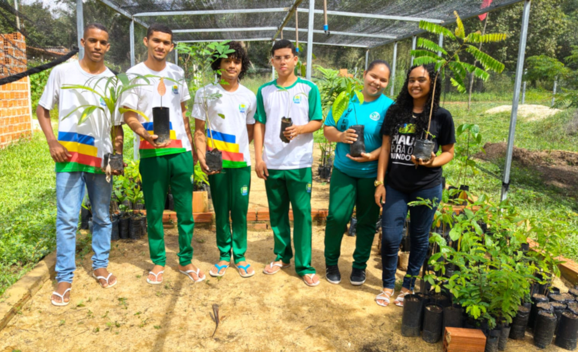 Assentamento no Piauí aposta em viveiro coletivo para gerar renda entre jovens