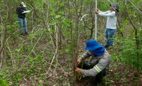 Assentamentos cearenses são beneficiados com elaboração de novos Planos de Manejo Florestal