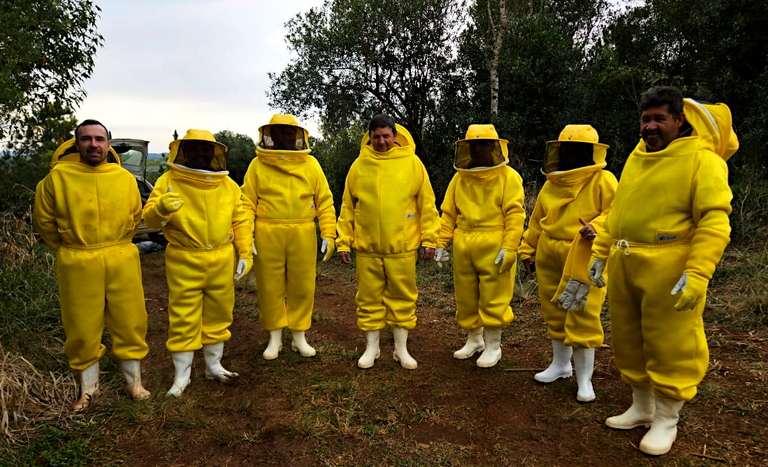 SC_apicultura_TQ INVERNADA_CURSO_maio2025.png