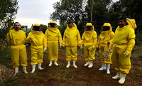 Assentamentos e território quilombola ampliam produção de mel em Santa Catarina