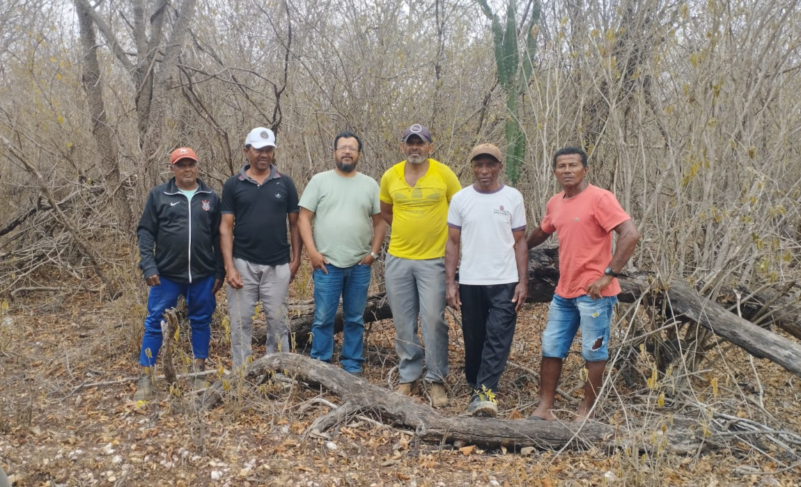 CE caatinga