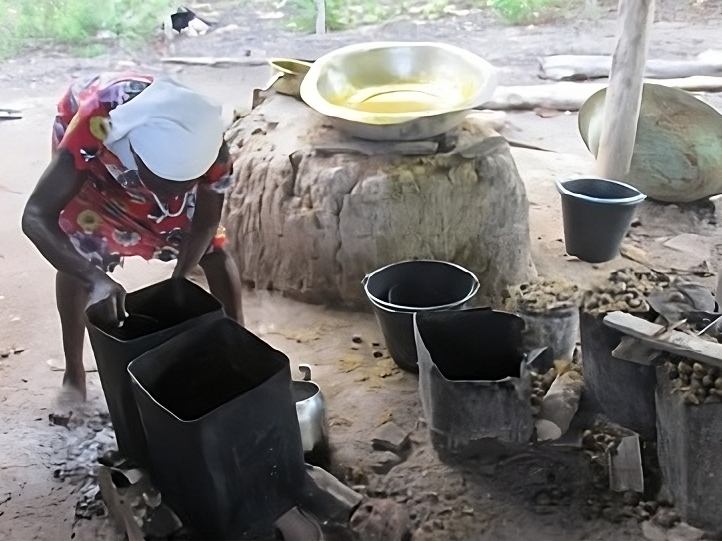 BA_TQVolta Miuda-melhorada_1.png