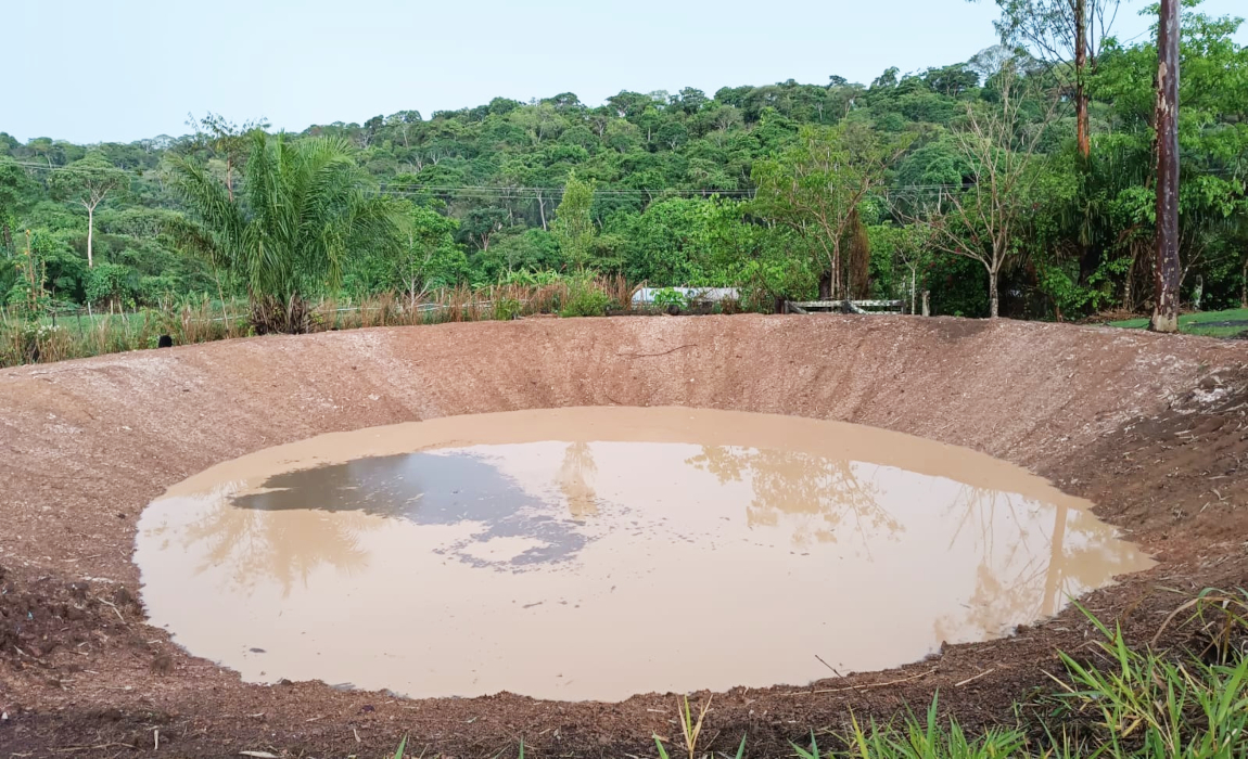 Porção concentrada de água cercada por terra e pela vegetação.