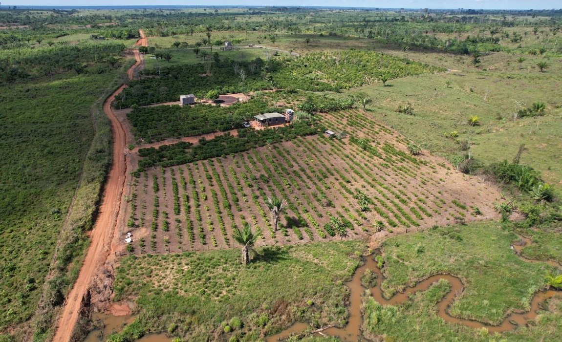 CCIR 2026 poderá ser emitido a partir de 19 de maio