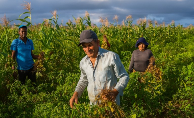 BA ilustrativa produção 2