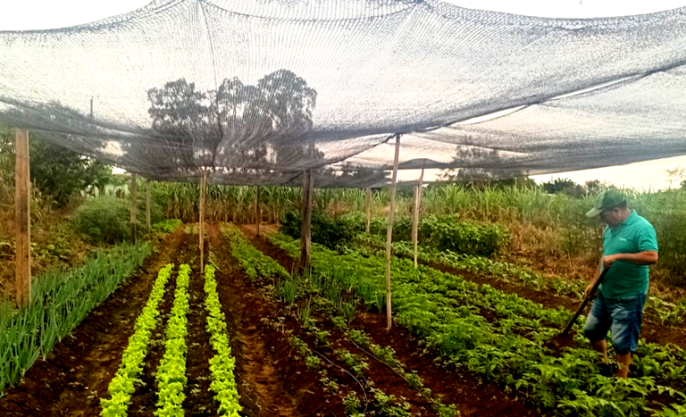 RS_Credito fomento_Retomada_Nelson_maio2025.png