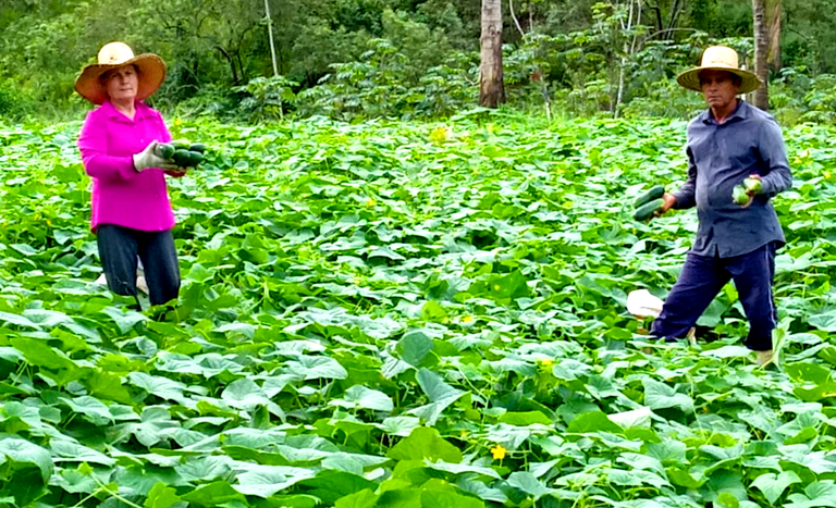 ES_assentados Maria Margarete e Manoel Ferreira_PA Santa Clara_município Viana_maio2025.png