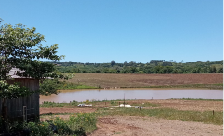 SC fazenda