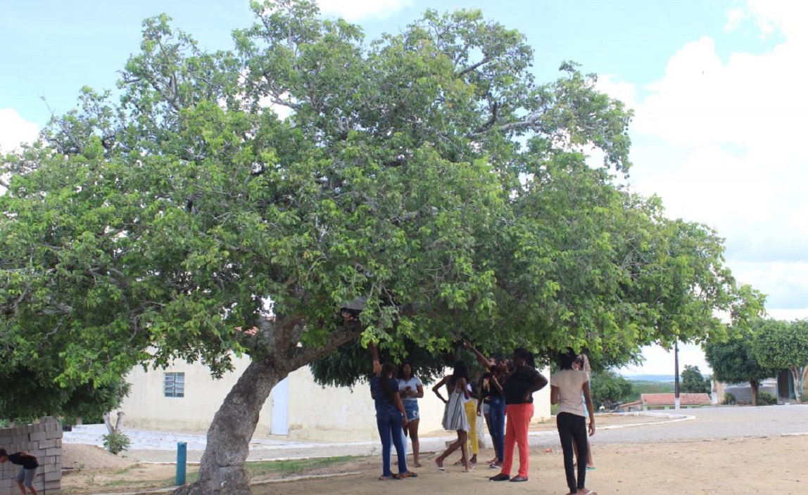 Decreto presidencial destina área para território quilombola em Alagoas