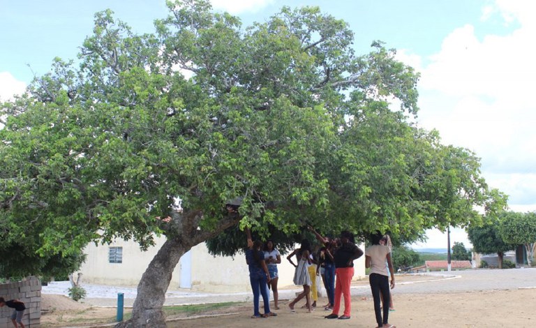 Decreto presidencial destina área para território quilombola em Alagoas