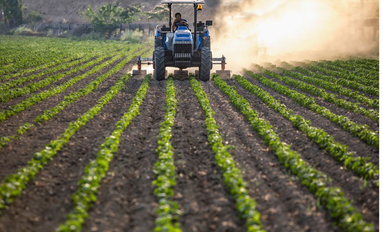 Desenrola Rural deverá beneficiar cerca de um milhão de agricultores e facilitar acesso a crédito