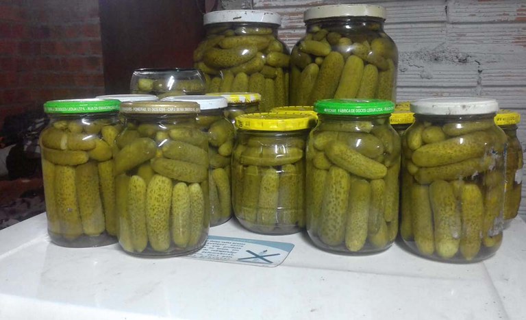 conservas_pepinos_mar_2021.jpg