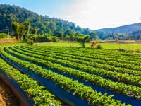 Divisão de Análise de Terras é aprimorada com o novo regimento institucional