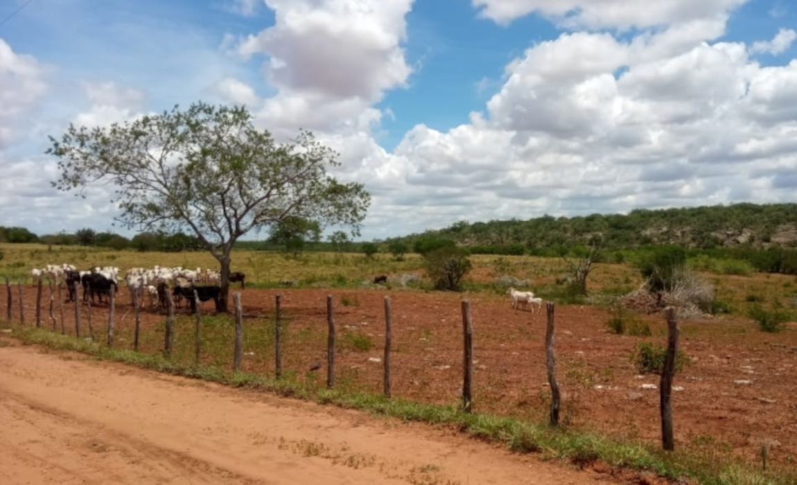 BA serrote