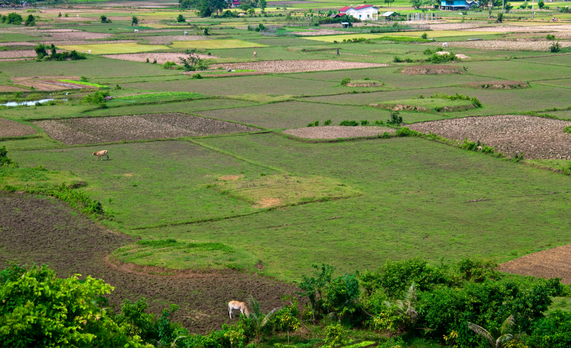Certificado de Cadastro de Imóvel Rural (CCIR) para o exercício de 2025 estará disponível a partir de 17 de junho