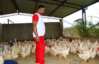 Empreendimento sustentável é desenvolvido em assentamento no Sertão de Pernambuco