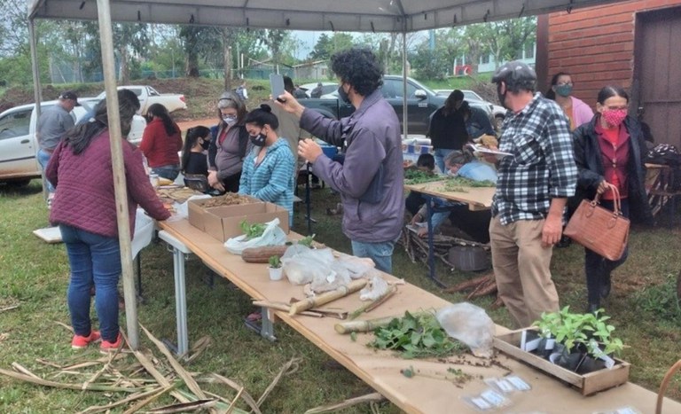 Assentamento Rondinha RS