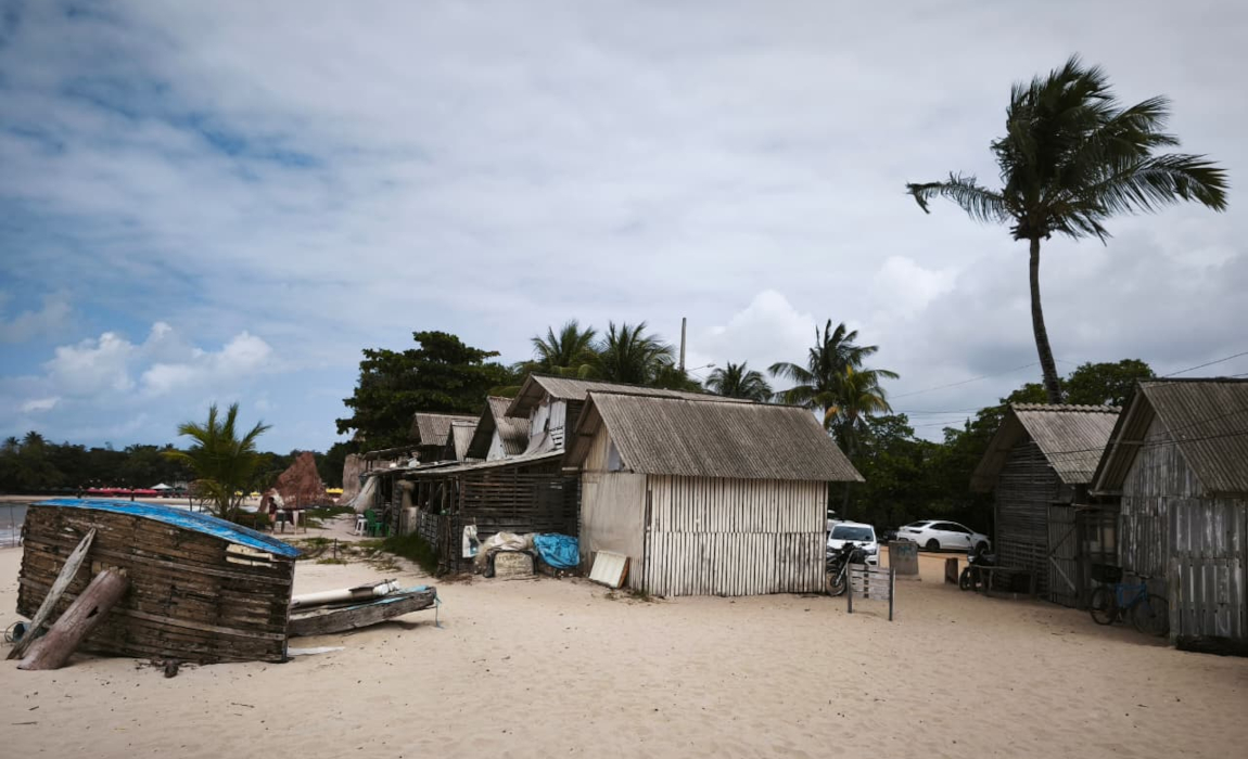 Casas de palha na praia com coqueiro ao fundo